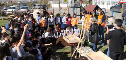 Atakum Belediyesi 2021’de kırsal üretime güç verdi