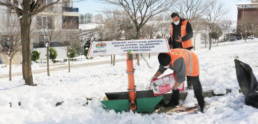 Atakum Belediyesi, karla mücadelesini aralıksız sürdürüyor