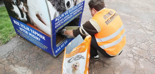 Atakum Belediyesi’nin patili dostlara mama desteği 5 tonu aştı