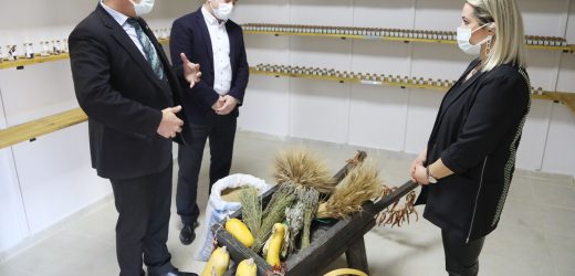 Atakum Belediyesi’nin tohum bankası AtaTohum yerel yönetimlere model proje oldu