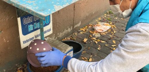 AVCILAR BELEDİYESİ KARANTİNA GÜNLERİNDE DE SOKAK HAYVANLARININ YANINDA