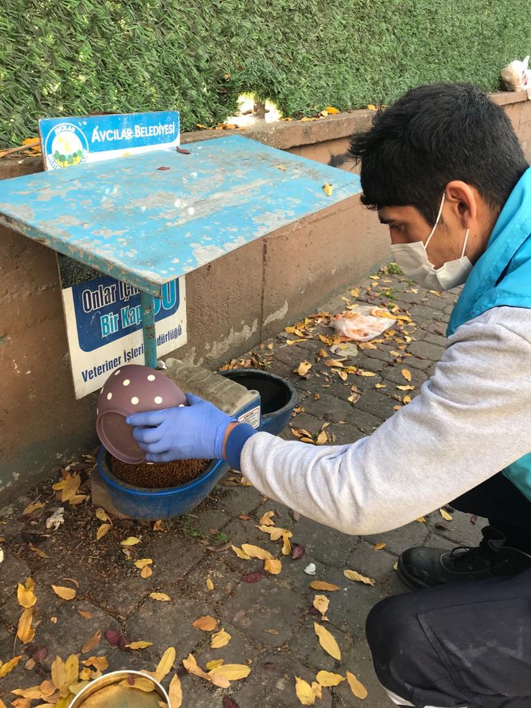 AVCILAR BELEDİYESİ KARANTİNA GÜNLERİNDE DE SOKAK HAYVANLARININ YANINDA