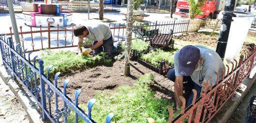 AVCILAR RENGARENK ÇİÇEKLERLE DONATILIYOR