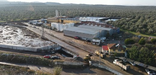 AYVALIK’TA ÇEVRE FELAKETİ