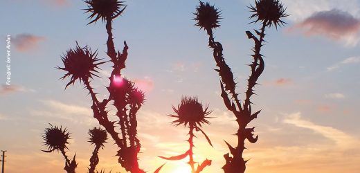 Berfin Bahar’ın Şubat Sayısı Çıktı