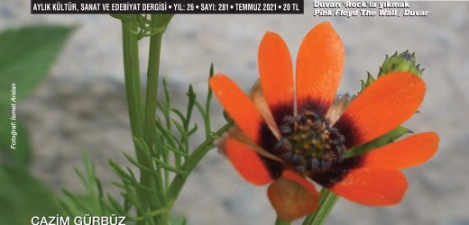 Berfin Bahar  Aylık Kültür Sanat ve Edebiyat Dergisi