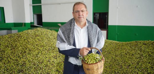 BELEDİYE’NİN ZEYTİN AĞAÇLARINDAN 10 BİN 500 LİTRE ZEYTİNYAĞI ELDE EDİLDİ