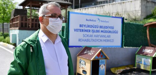 BEYLİKDÜZÜ BELEDİYESİ’NDEN SOKAK HAYVANLARI İÇİN GÜNDE 4 TON MAMA