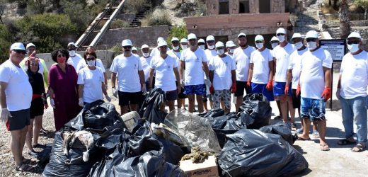 Dikili’de Çevre Etkinliğine Yoğun Katılım