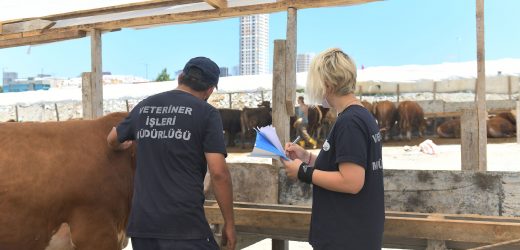 ESENYURT BELEDİYESİ’NDEN KURBAN HAZIRLIKLARINI TAMAMLADI