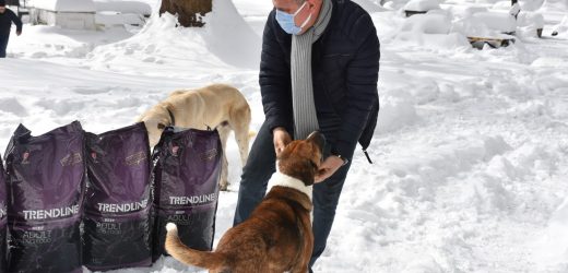 EDREMİT BELEDİYESİ SOĞUK HAVALARDA SOKAK HAYVANLARININ YANINDA