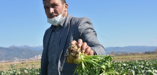 Edremit’te tarımsal hizmetler ile yüzler gülüyor