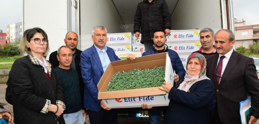 Başkan Karalar’dan köylüye domates fidesi desteği