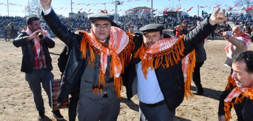Yatağan Belediyesi Deve Güreşi Festivali, renkli görüntülere sahne oldu