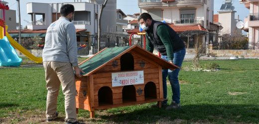 Can dostlarımızı kedi evleri ile buluşturuyoruz