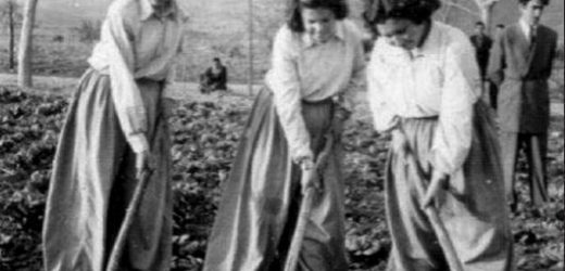 Seç Bakalım Seçebilirsen…