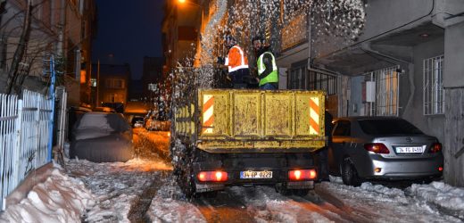 ESENYURT’TA KIŞLA MÜCADELE EKİPLERİ ÇALIŞMALARINA DEVAM EDİYOR