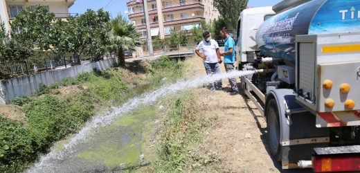 EDREMİT BELEDİYESİ SU KAPLUMBAĞLARINA HAYAT VERDİ