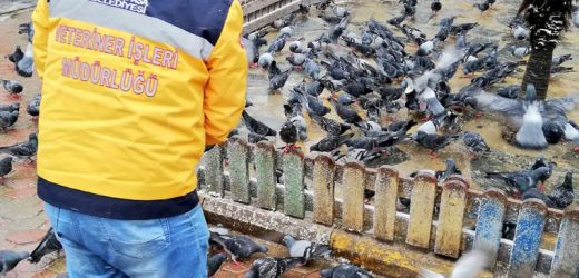 BAYRAMPAŞA BELEDİYESİ KARLA MÜCADELE EKİBİ ARALIKSIZ ÇALIŞIYOR