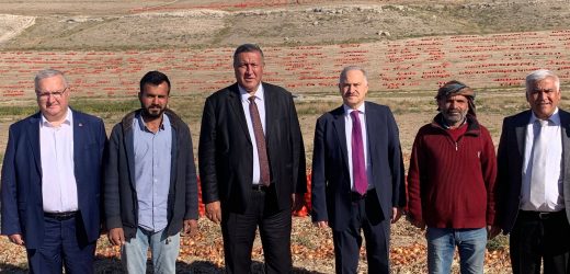 “Soğan tarlada 60 kuruşa bile alıcı bulmuyor”