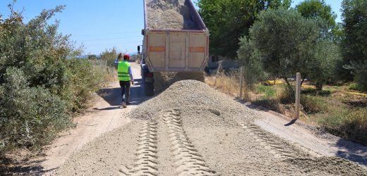 Gürer’den Bakan Pakdemirli’ye eleştiri…
