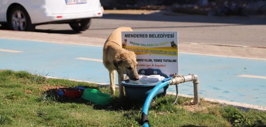 33 şeker fabrikası 15 milyon ton pancar alımı yaptı