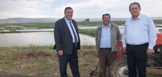 Gürer: “Çeltik üreticisi ithalat tedirginliği yaşıyor”