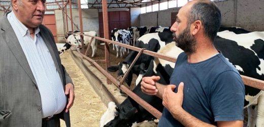 Gürer: “Yem fiyatları besicinin canına tak ettirdi”