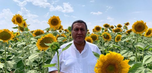 Gürer: “Ayçiçek yağında dışa bağımlılıktan kurtulmalıyız”