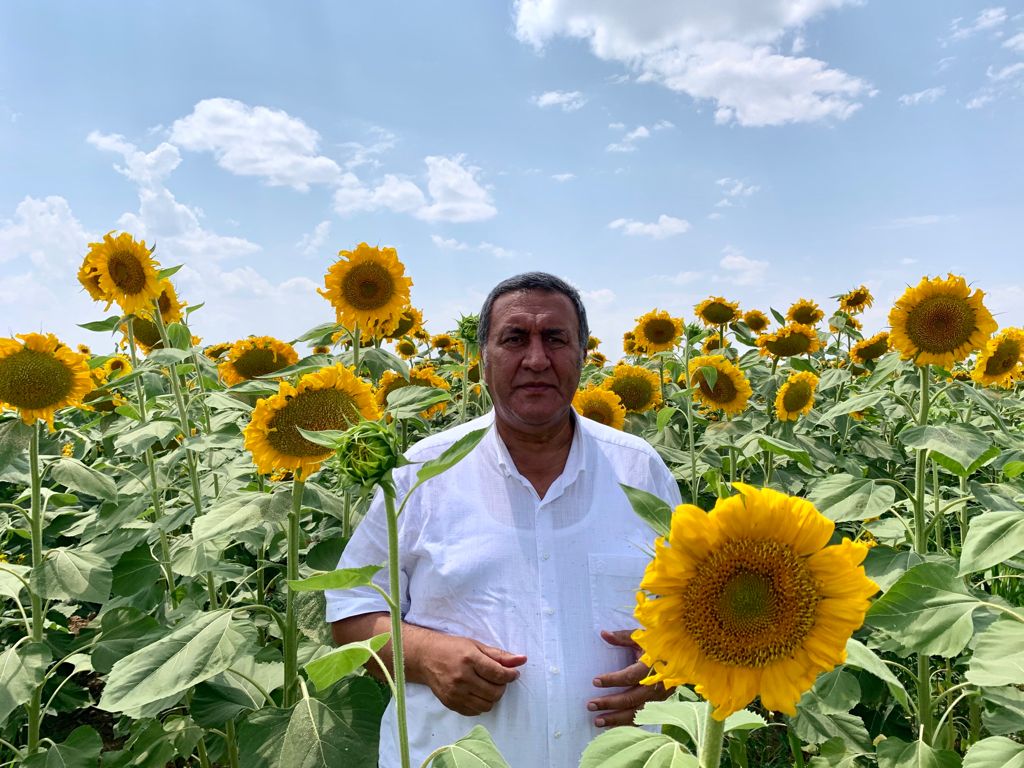 Gürer: “Ayçiçek yağında dışa bağımlılıktan kurtulmalıyız”