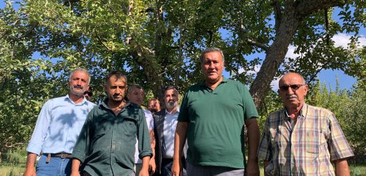 Gürer: “Elmada ciddi  üretim kaybı var”