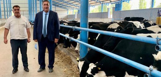 Gürer: “Et ve sütte sorun yaşanmaması için besiciyi dinleyin ”