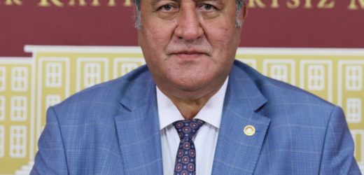 Gürer: “Zeytinlikleri korumak geleceği korumaktır”