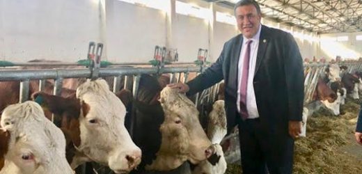 Gürer: “Süt üreticisi yine  sırtından vuruldu”