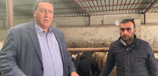 Gürer: “Sütün kaymağını aracılar yiyor”