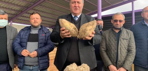 Gürer: “Pancar çiftçisi isyanda”