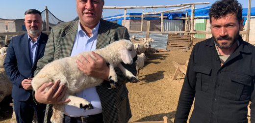 Gürer: “hayvanları,kredi borçlarını ödemeye yetmiyor”