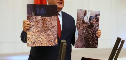 Gürer: “Çiftçi ne ekiyorsa para kazanamıyor”