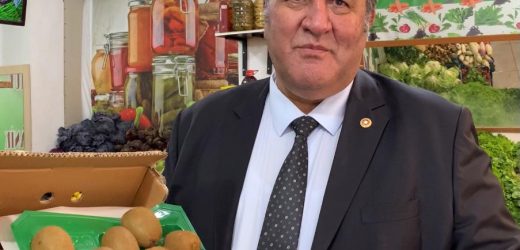 Gürer: “Kivi yetişen 21 il var, üreticinin geliri illere göre değişiyor.”