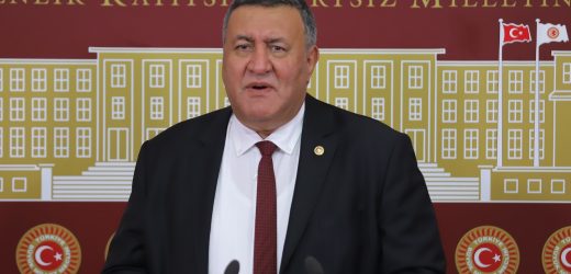 Gürer: “Çiftçilerin borçları ertelenip yeni destekler verilmezse, gıdaya erişimde sorun yaşanır”