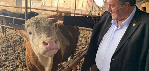 Gürer: “Yem fiyatlarındaki artış hayvancılığı tehdit ediyor”