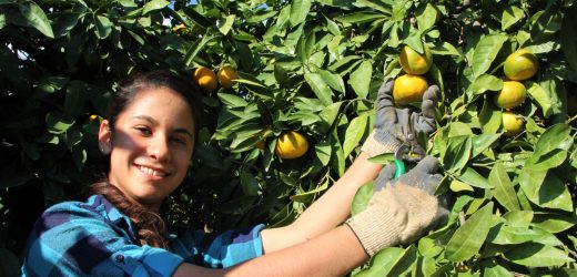 Gürer’in soru önergesine Bakan  yanıtında, “Kum fırtınaları olabilir” demişti.