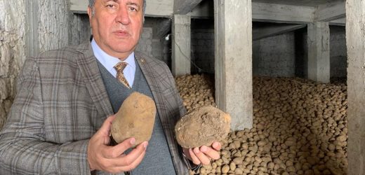 Gürer: “Patates üreticisinin uğradığı zarar karşılanmalı”