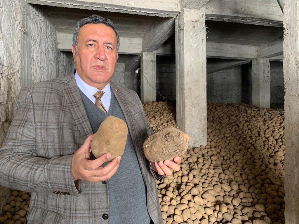 Gürer: “Patates üreticisinin uğradığı zarar karşılanmalı”