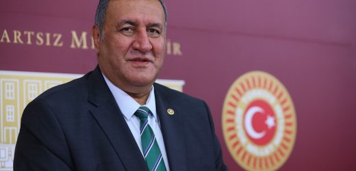 Gürer: “Engellilere engel olmayın”