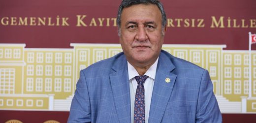 Gürer: “Sulak alanlar korunamıyor”