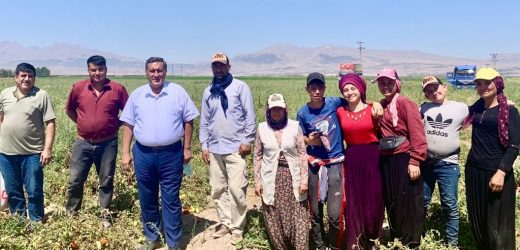 Gürer: 280 bin 749 kadın çiftçi var