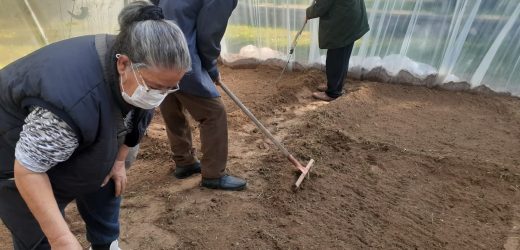 HUZUREVİNDE SERA KURULDU