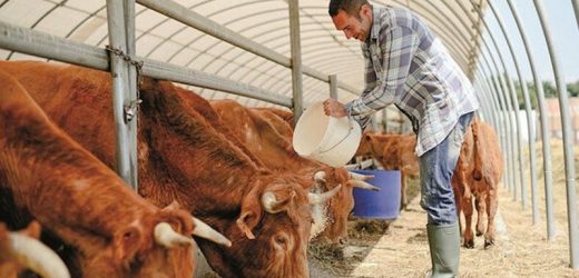 ARDAHAN DA HAYVANCILIK BUGÜN BAŞKA BOYUTTA