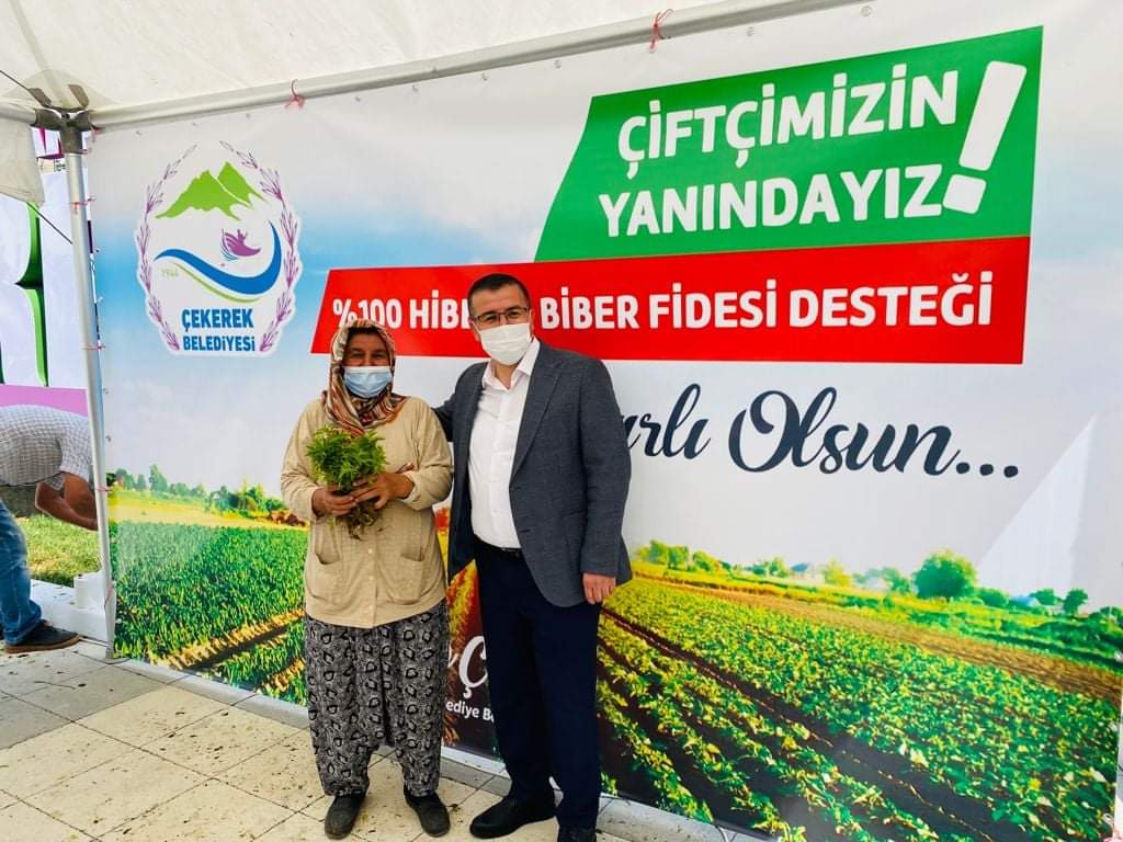 Çekerek belediyesi Çiftçisine 300 Bin Biber Fidesi Dağıttı.